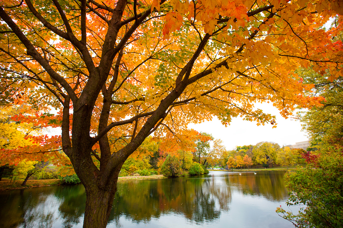 Fall Colors on the lake