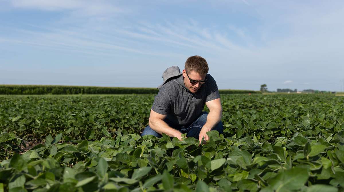 Man crouched in a field looking a leaves