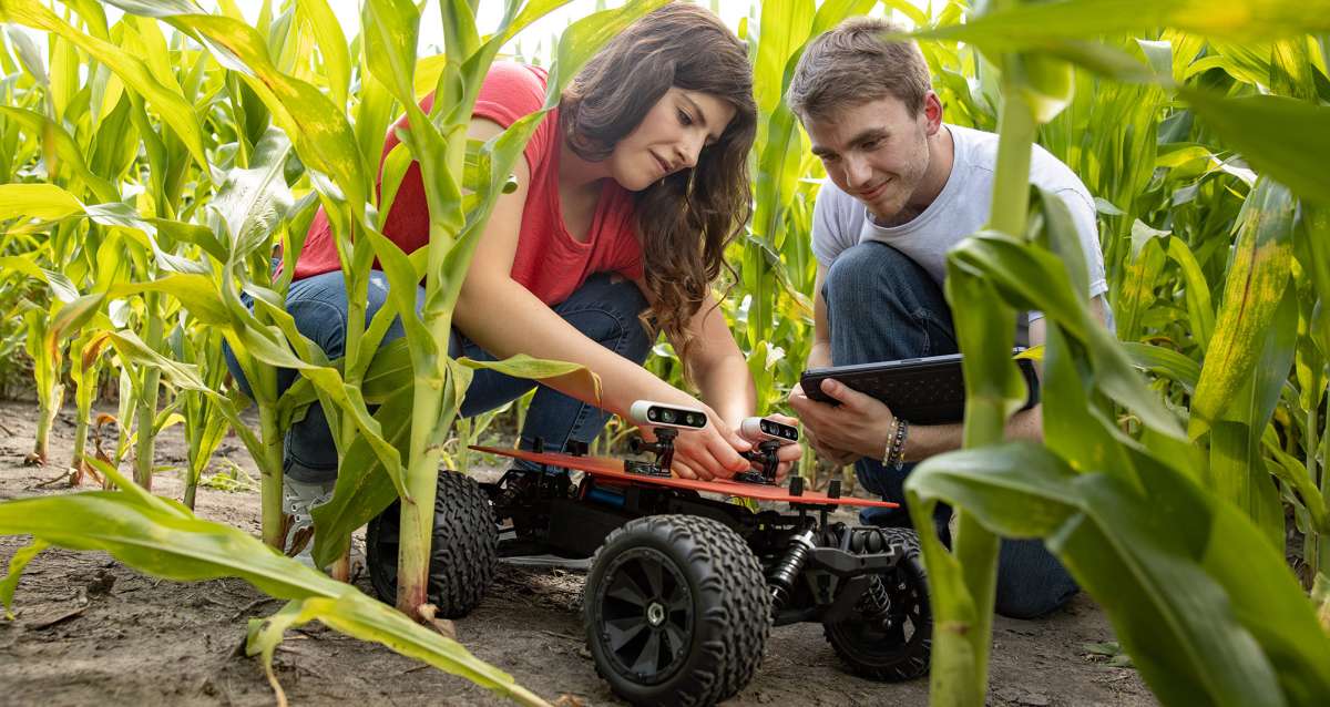 Student in corn field with robot