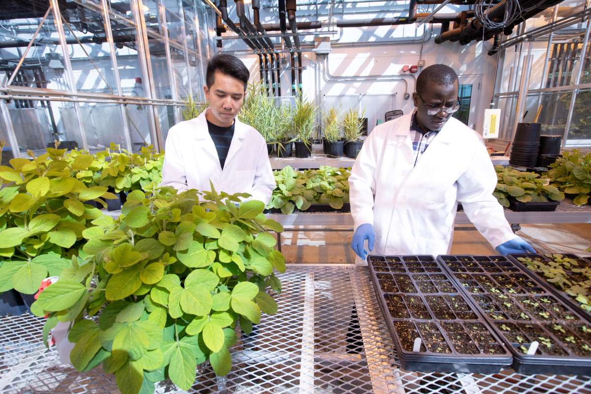 two men in a greenhouse surrounded by plants